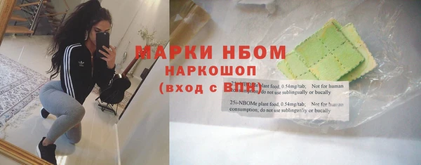 ECSTASY Алзамай
