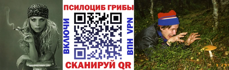 Галлюциногенные грибы Cubensis  где найти   Крым 
